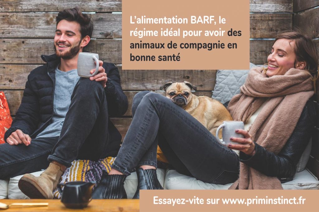 L'alimentation barf pour chiens et chats chez Priminstinct pour la bonne santé des animaux domestiques